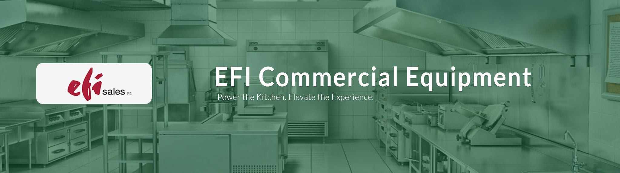 EFI supplier banner