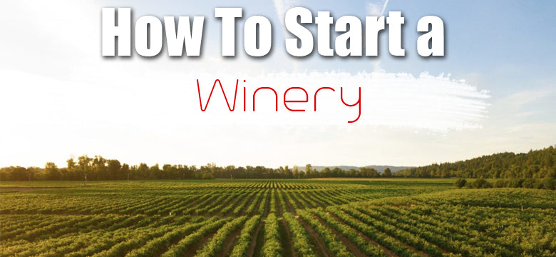 How to Start a Winery