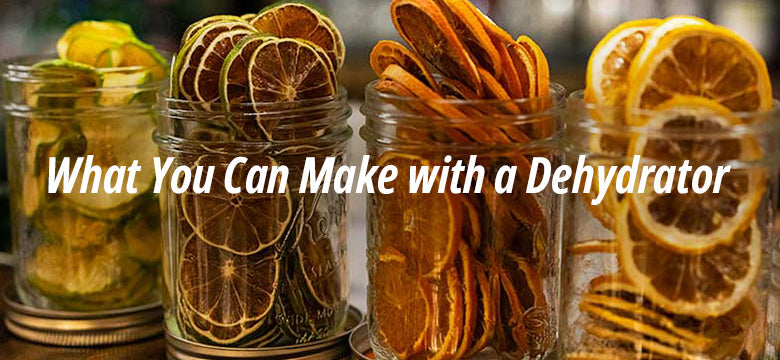 What You Can Make with a Dehydrator