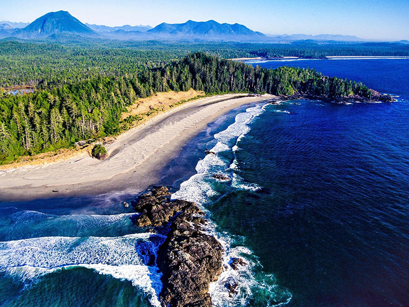 Restaurant Equipment Image