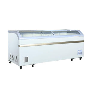 EFI FCCG-79 79″ Curved Glass Top Ice Cream Freezer