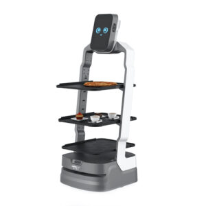 Browne OS-R-DR01 iAssist AI Robot Server